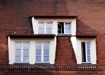 Windows on tile roof