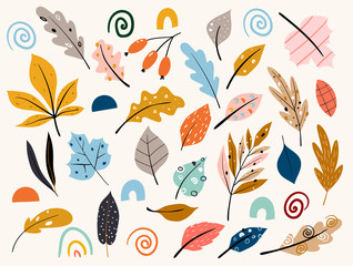 Set of colorful autumn leaves and berries. Isolated on white background. Yellow autumnal garden leaf, red fall leaf and fallen dry leaves.