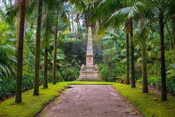 Garden in Furnas area, São Miguel Island, Azores