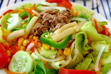 salade de crudités de saison.