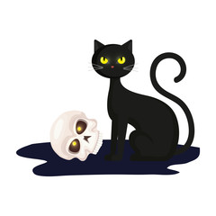 cat with skull of halloween