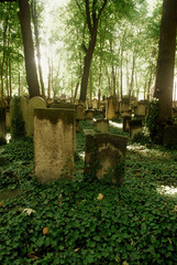 14.08.2008 Berlin.Der jüdische Friedhof in der Schönhauser Allee