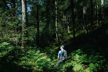 Hiker With A Backpack Standing In A Forest.