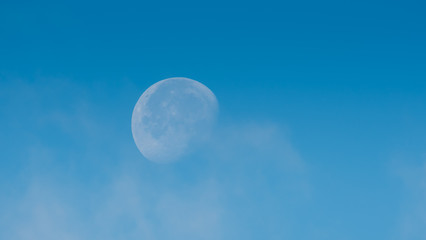 Zachodzący księżyc widoczny na niebie o poranku © Dreamnordno