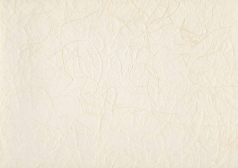 和紙・バックグラウンド