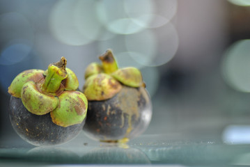 Mangosteen lamb is seen inside. Mangosteen fruit seasonal Meat is used as a healthy food.Lay on glass table with text space.