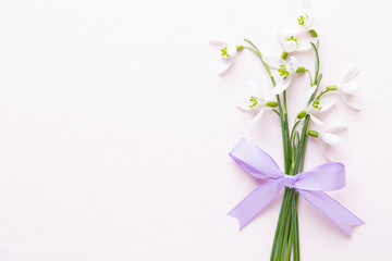 Fototapeta premium Fresh snowdrops on pink background with place for text. Spring greeting card.