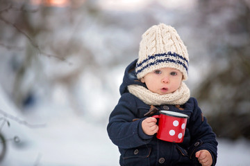Sweet siblings, children having winter party in snowy forest.  Young brothers, boys, drinking tea...