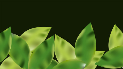 Obraz premium leaves background, leaves vector background, floral art vector, floral background, leaves illustration