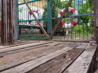 Fototapeta premium OLYMPUS DIGITAL CAMERA