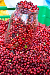 A heap of red cranberries at a market table, a large glass is filled with them