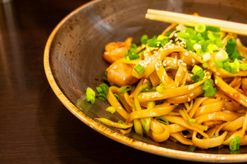 Udon noodles with chicken and onion - Japanese cuisine