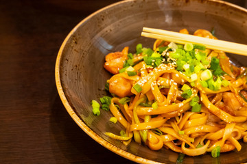 Udon noodles with chicken and onion - Japanese cuisine