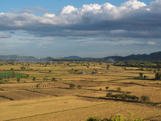 Fototapeta premium OLYMPUS DIGITAL CAMERA