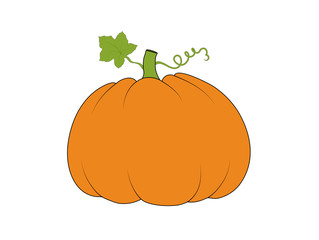 Kürbis Silhouetten Hintergrund Vektor Illustration isoliert auf weißem Hintergrund