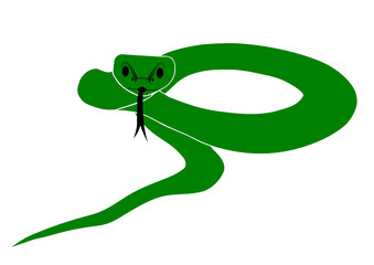 Green snake