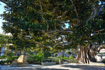 Cadiz, Spain, 12/15/2018. Tourist trip to a Spanish city on the Atlantic Ocean.
