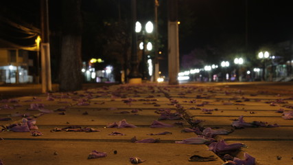 street in city at night