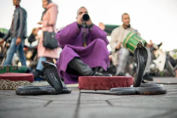 Fotobehang Moroccan Cobra enchanter sitting in the street with his cobra. Marrakesh, Jamma el fnaa © Oleksandr