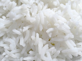 rice on white background