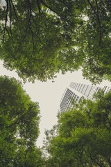 view of modern building with green trees and sky - 290519816