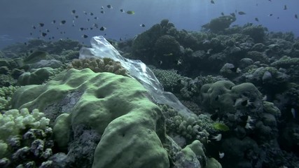 Slow motion, Plastic pollution, transparnet plastic bag on beautiful tropical coral reef, on background in the blue water swims school of tropical fish. Plastic garbage environmental pollution problem