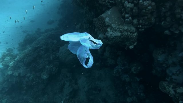 Slow motion, Plastic pollution, discarded blue plastic bag floats near coral reef, on background in the blue water swims school of tropical fish. Plastic garbage environmental pollution problem.