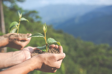 Concept of environmental conservation in the garden for children.