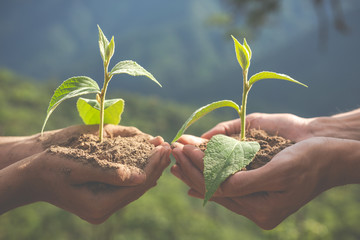 Concept of environmental conservation in the garden for children.