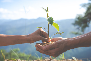 Concept of environmental conservation in the garden for children.