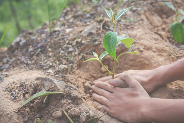 Concept of environmental conservation in the garden for children.