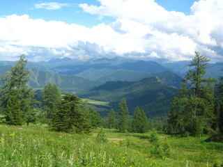 Fototapeta premium Красная гора. Усть-Коксинский район. Алтай