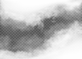 fog and smoke isolated on transparent background