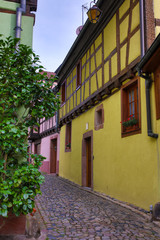 Fototapeta na wymiar the old town of Kaysersberg