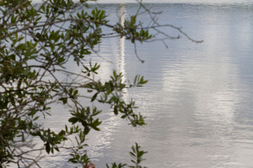 Windmühle spiegelt sich in Angelteich in Nordfriesland
