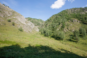 Chechkysh tract, Chemal district, Altai Republic, Russia, month of August