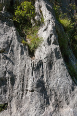texture of stone lit by the evening sun