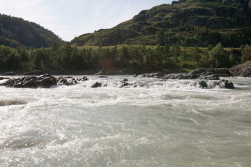the bank of the Katun river behind the village of Elanda, Chemal district, Altai Republic, Russia, the month of August