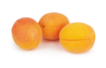 Apricots on white