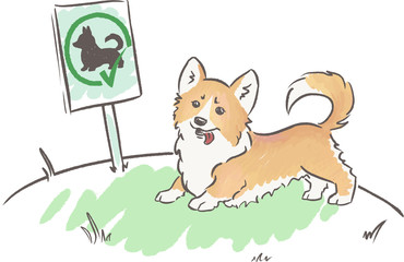 Shama the corgi on a dog playground. Dog behaviour and rules for owners. Hand drawn colour illustration.