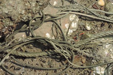 fishing net on the beach