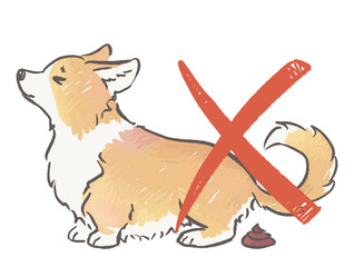 Shama the corgi poops and not allowed mark. Dog behaviour and rules for owners. Hand drawn colour illustration.