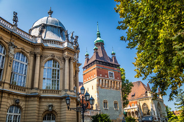 Vajdahunyad Castle in the City Park of Budapest, Hungary, Europe.