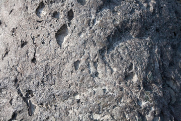 texture of stone lit by the evening sun