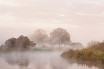 Misty autumn morning on river. Lone oak trees on meadow