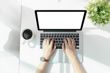 Women using laptop with blank screen at table in the office, Top view of business women hands busy using laptop.