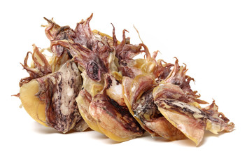 dry squids on white background 