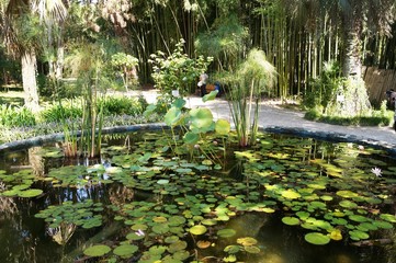 flora and fauna