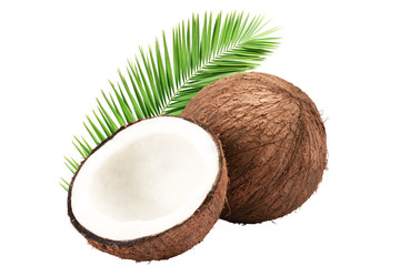 Fototapeta na wymiar coconut on a white background