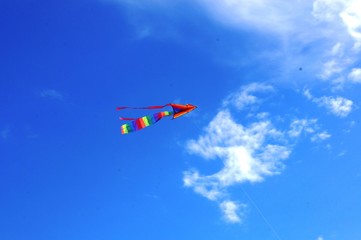 a kite in the sky